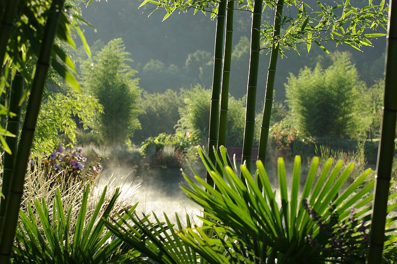 au matin au lac exotique